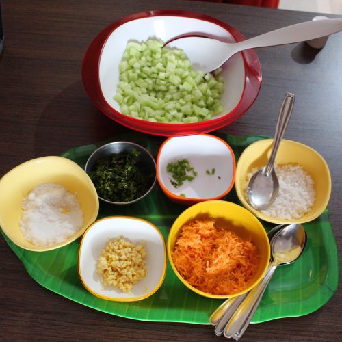 Ayu Diet
